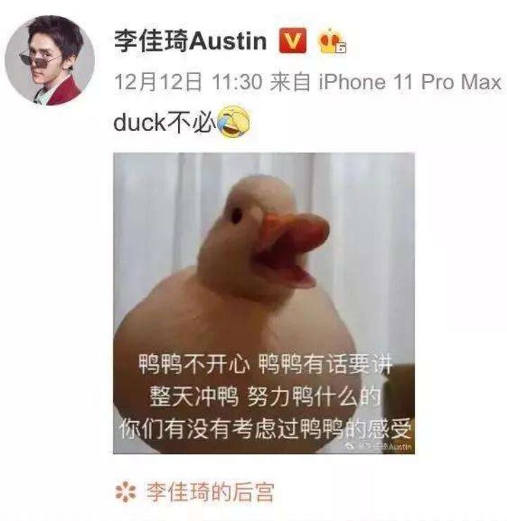 duck不必