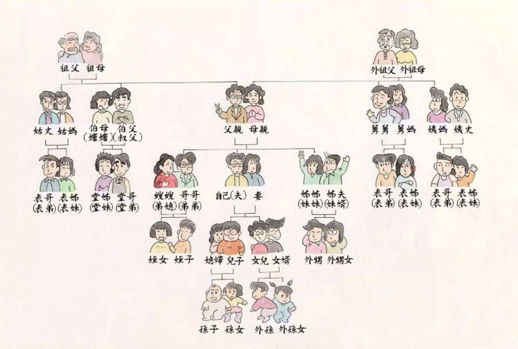 親族の関係図