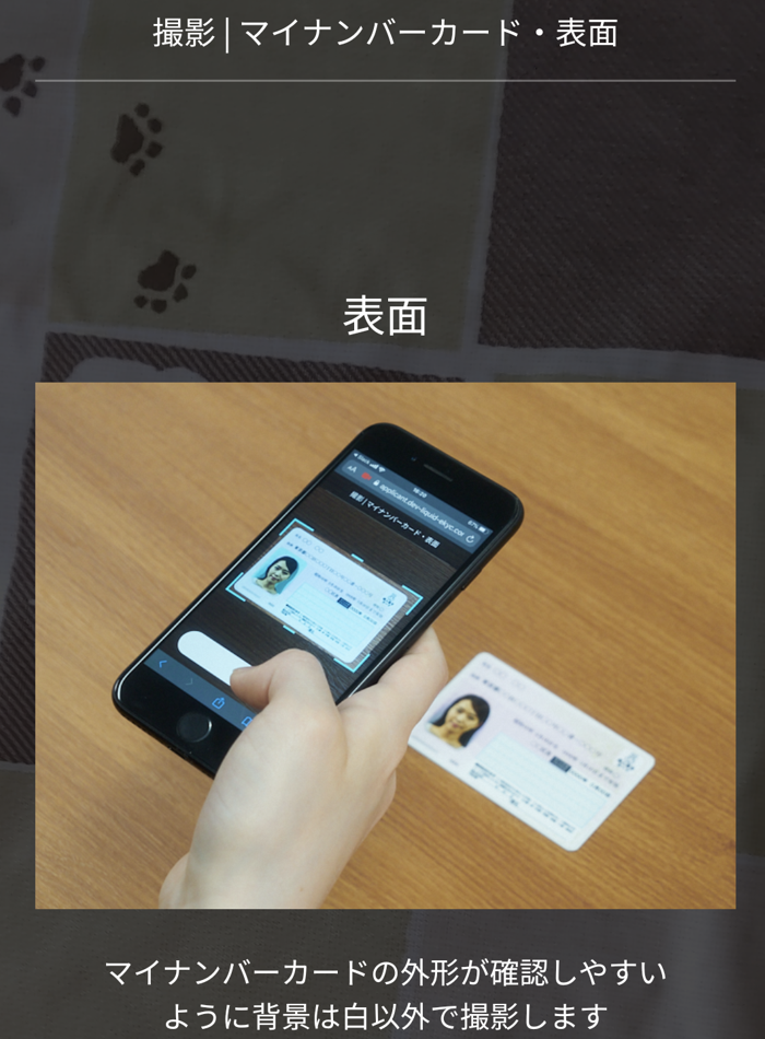 bitFlyer㉔