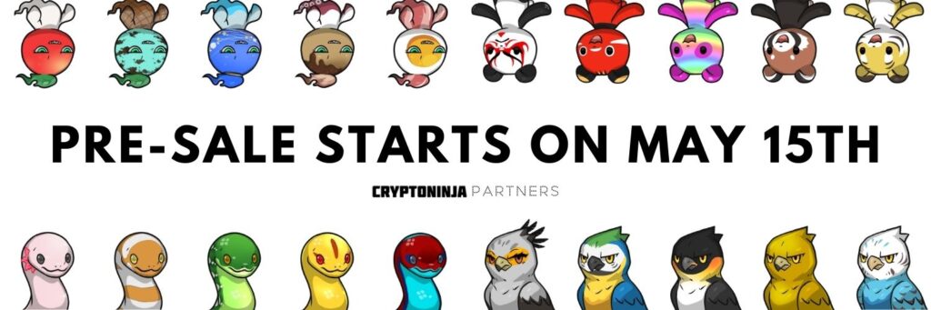 CryptoNinja Partners