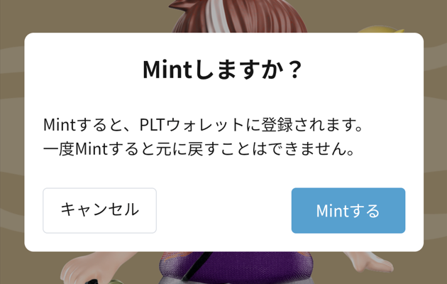 CNPT始め方⑧