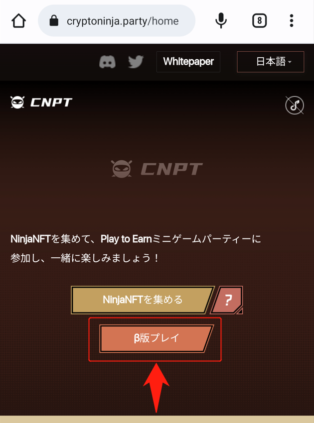 CNPT始め方⑪