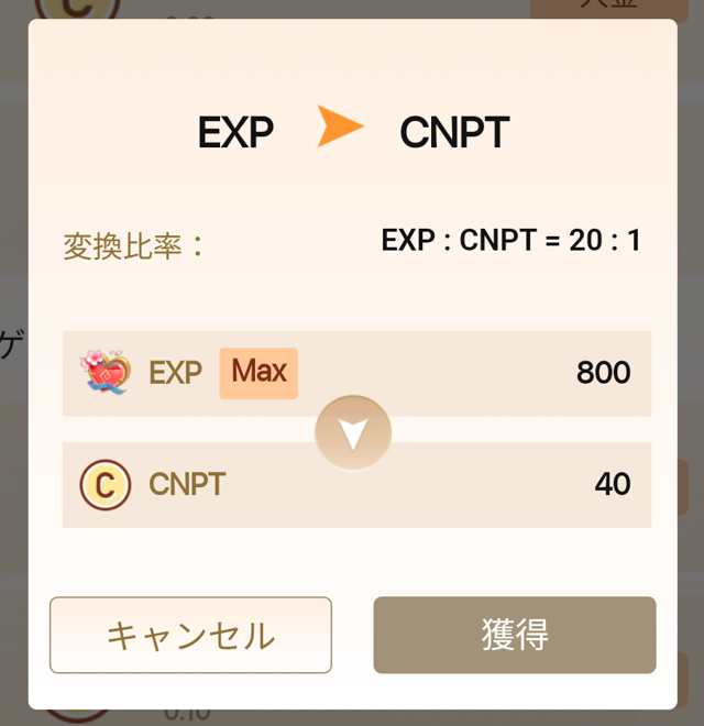 CNPTアイテム⑮