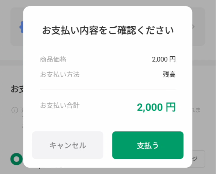 CNP Toysの買い方⑯