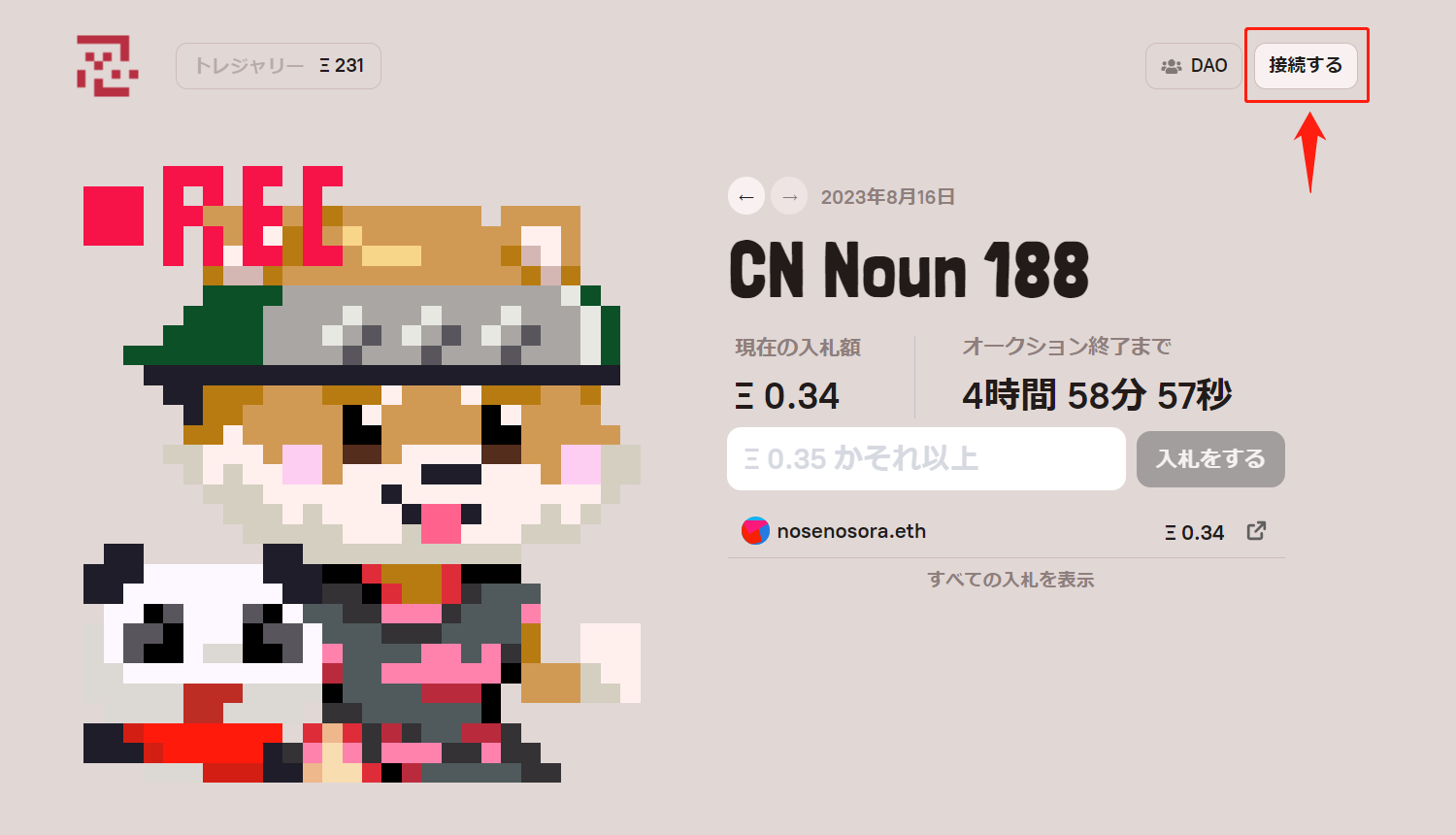 CryptoNinja Nouns入札