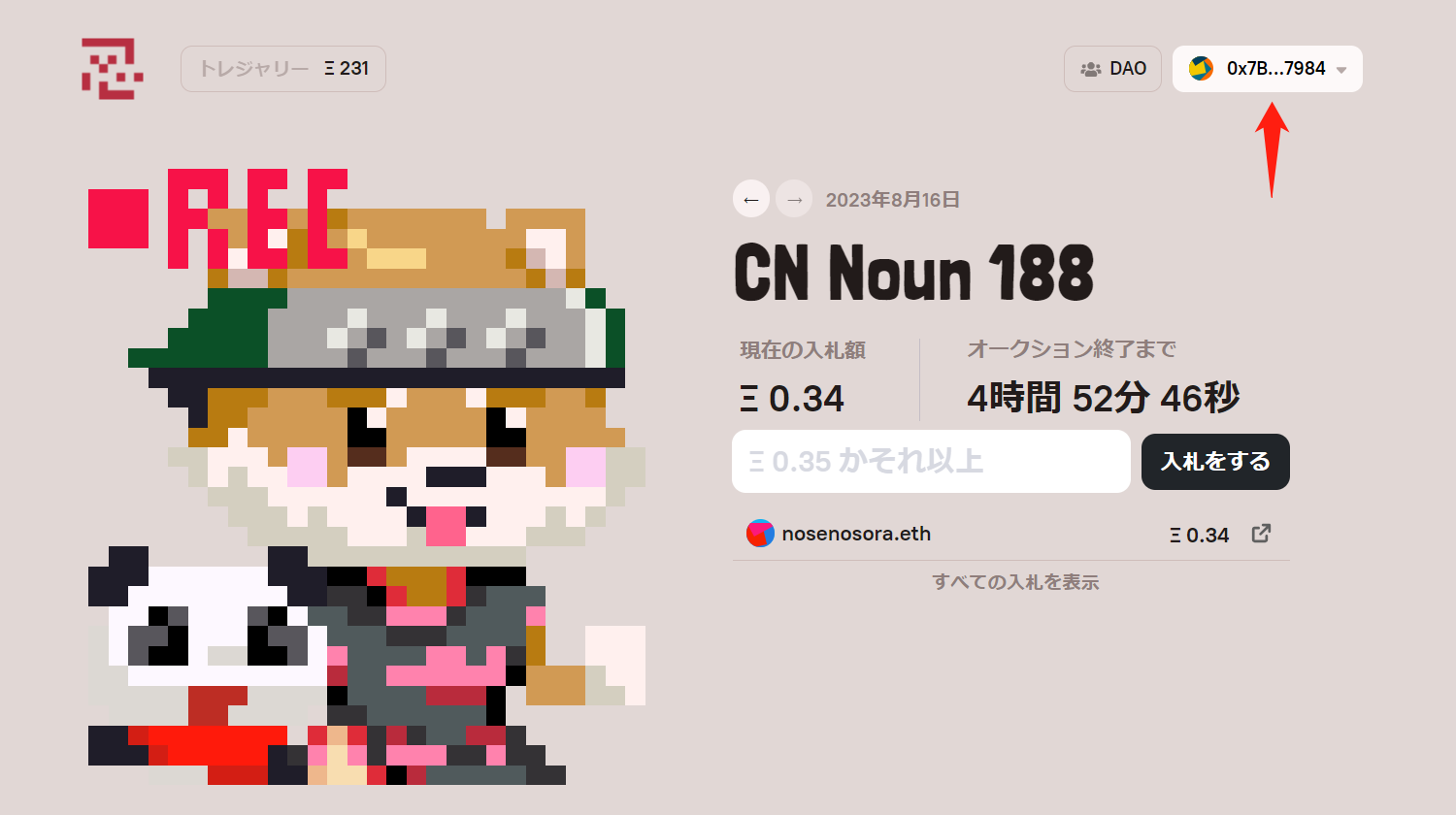 CryptoNinja Nouns入札